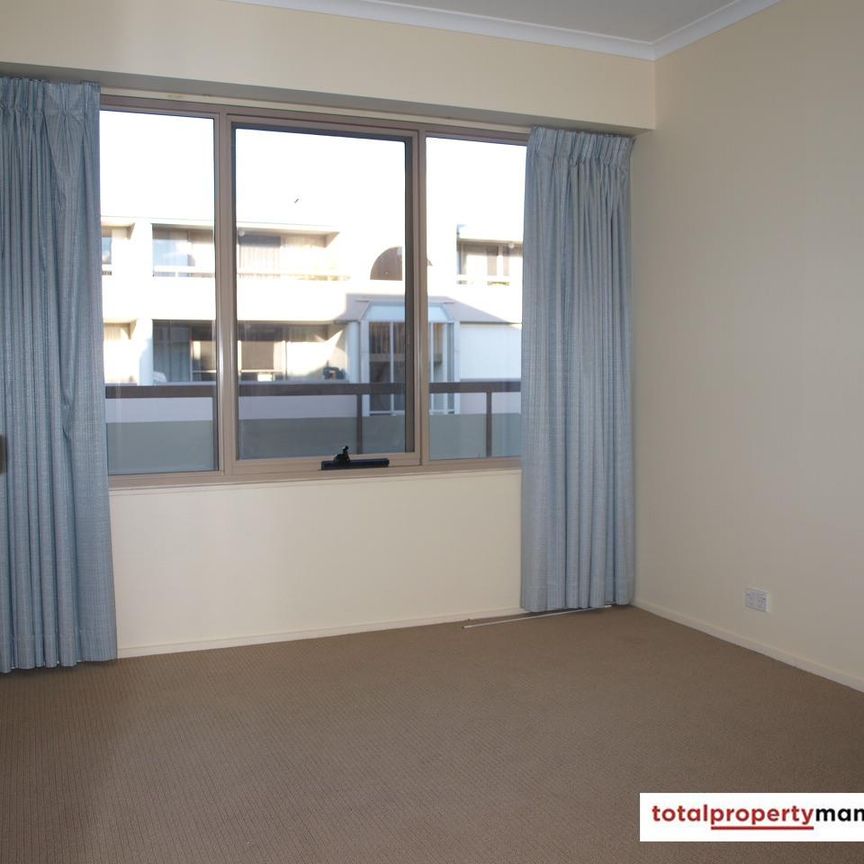 F4/2 Currie Crescent, Griffith ACT 2603 - Apartment For Rent | Domain - Photo 1