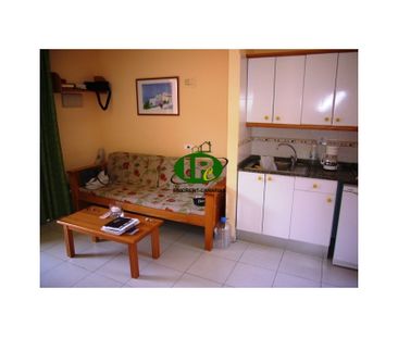 Duplex with 1 bedroom and large terrace, super quiet - Photo 4
