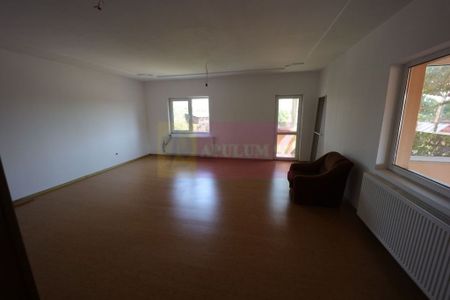 Vila Clinceni - Ciorogirlei. - Fotografie 2