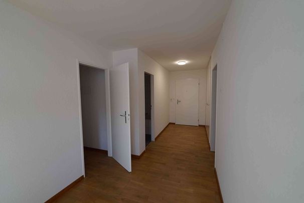 2.5 Zimmer, 63 m², 9. Stock - Foto 1