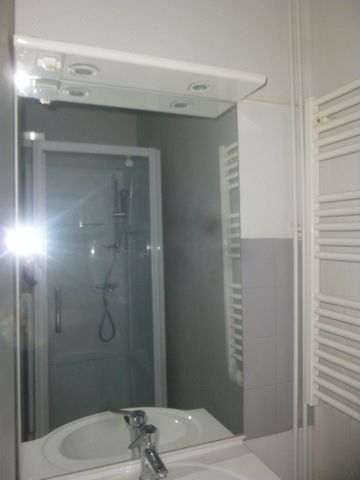 Location Appartement 1 pièce 22m² LE PUY EN VELAY 43000 - Photo 3