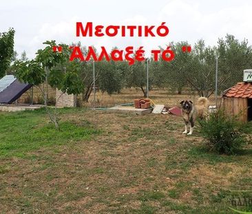 Μονοκατοικία για ενοικίαση Μονοπήγαδο (Βασιλικά) - Photo 6