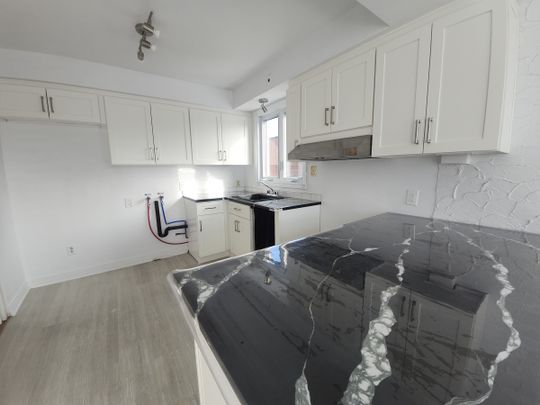 842 Rue Prieur Est - Photo 1