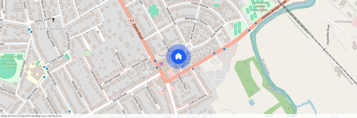 93 Olive Street, Tas 7250, Newstead