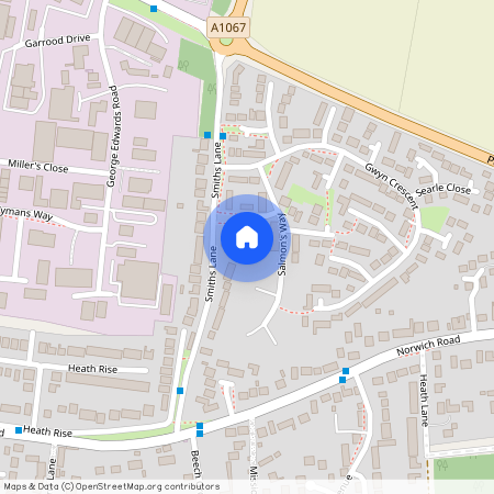 Salmons Way, Fakenham NR21