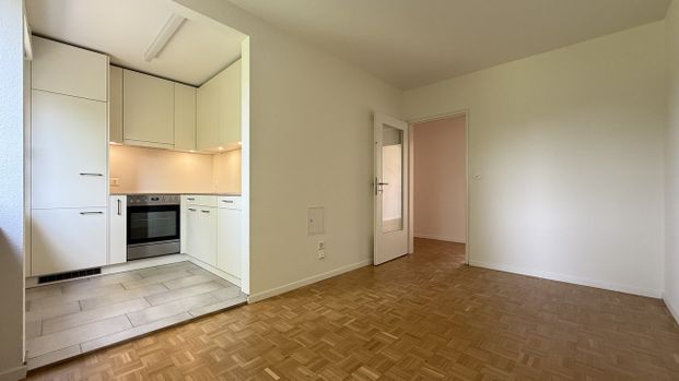 Kinderparadies bei der Grün80 - Foto 1