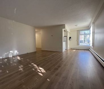 1 bed/1 bath apartment in Kerrisdale - Photo 4