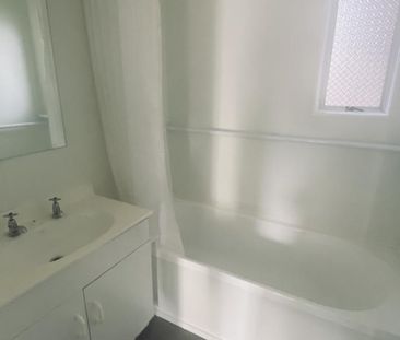 Freshley Renovated in Richmond - Photo 5