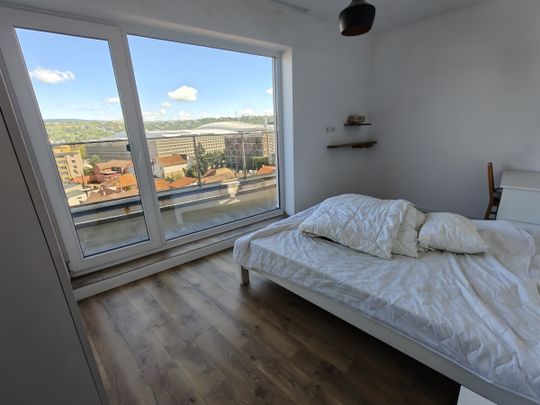 Apartment for Rent in Cluj-Napoca, 5 minute walk from the University of Veterinary Medicine and Agricultural Sciences USAMV, one bedroom, one livingroom - Photo 1