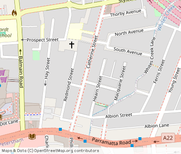 55 Catherine Street, Leichhardt NSW 2040 - House For Rent | Domain - Photo 1