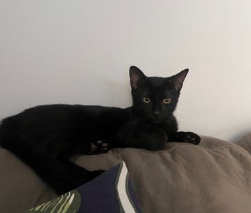 Burleigh Waters - Photo 2