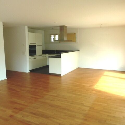 Ihr neues Zuhause an der Kleinen Emme - Photo 1