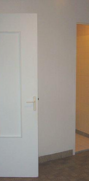 Location Appartement 1 pièce 17m² FONTAINEBLEAU 77300 - Photo 2