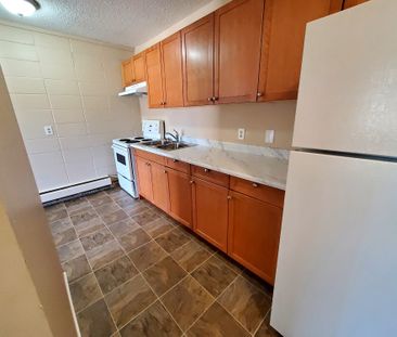 Beautiful 1 Bedroom Unit in the Heart of Downtown!! - Photo 6