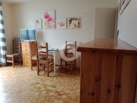 Location Appartement 1 pièce 25m² - Photo 5
