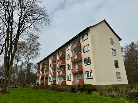 Plantagenweg 12 – 2.OG, 38229, – Salzgitter Gebhardshagen - Foto 4