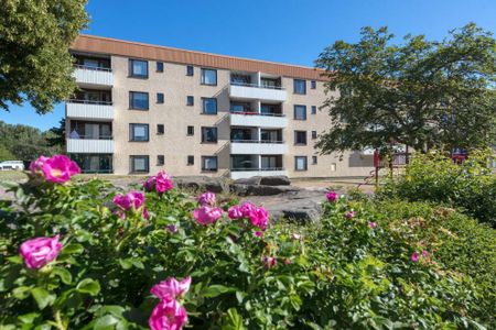 Vilbergsgatan 59 - Photo 4