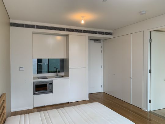 3 Carlton St, Chippendale NSW 2008 - Apartment For Rent | Domain - Photo 1