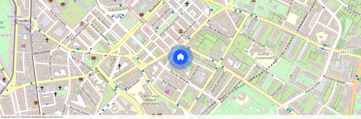 Avenue Jules-CROSNIER 2, 1206 Genève