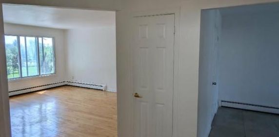5 1/2 - Montréal (Anjou) - 1 850 $/mois - Photo 2