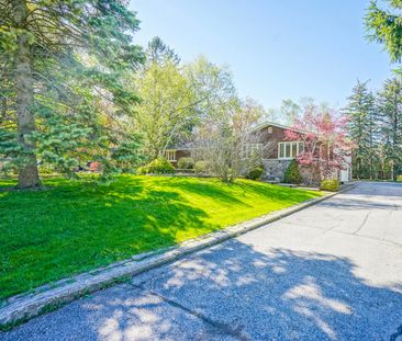 For Lease - 28 Wembley Avenue, Markham, Ontario - Photo 4
