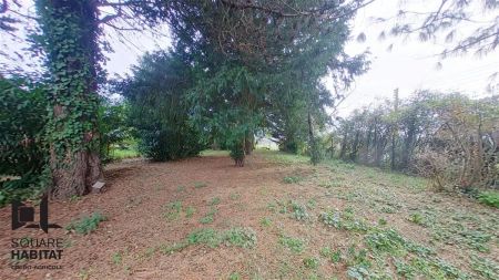 Location maison 3 pièces - 62.4m² à Chatellerault (86100) - Photo 4