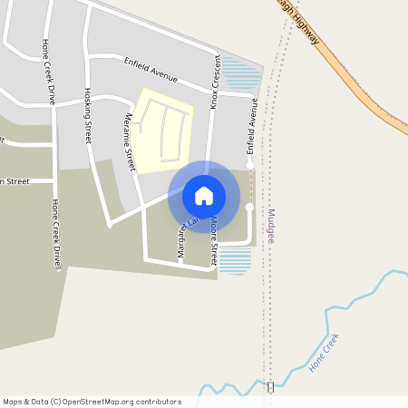 4 Moore Street, NSW 2850, Caerleon