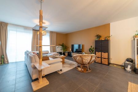 Hemiksem - Appartement - Foto 4