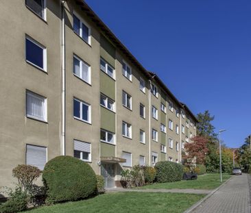 Demnächst frei! 3-Zimmer-Wohnung in Bad Bergzabern - Photo 1