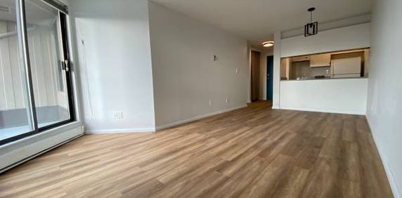 1BR Water view for rent Dec 1st - Photo 2