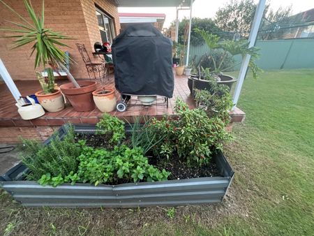 Sans Souci - Photo 4