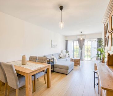 Gelijkvloers appartement te huur in Sint-Niklaas - Photo 1