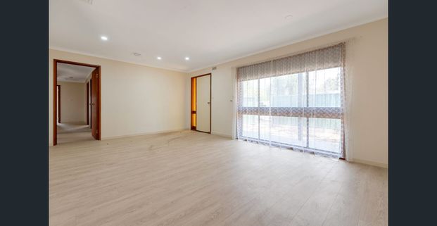 Renovated Three Bedroom Home - Photo 1