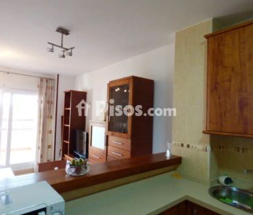 Apartamento en alquiler en Urbanización Puente de don Manuel, 1 - Foto 6