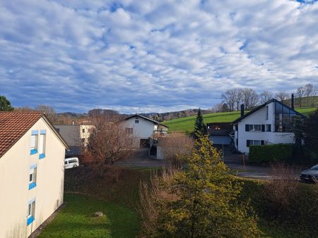 Bonnefontaine / 3.5 pièces au dernier étage - Photo 3