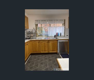 Room to Move - Photo 1