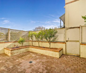 3/165 Allen Street, Leichhardt NSW 2040 - Townhouse For Rent | Domain - Photo 6