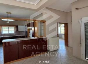 Μονοκατοικία για ενοικίαση - Μουδανιά, - Photo 1