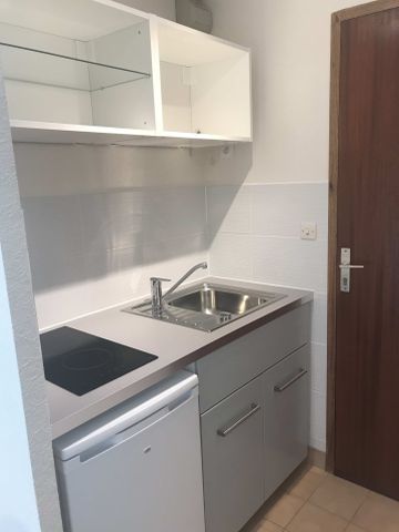 Location Appartement 1 pièce 19m² ST MARTIN D HERES 38400 - Photo 3