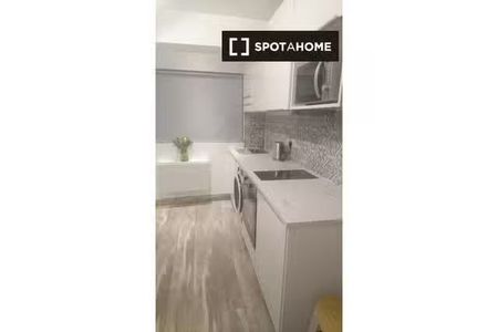 Studio for rent in Dublin - Photo 4