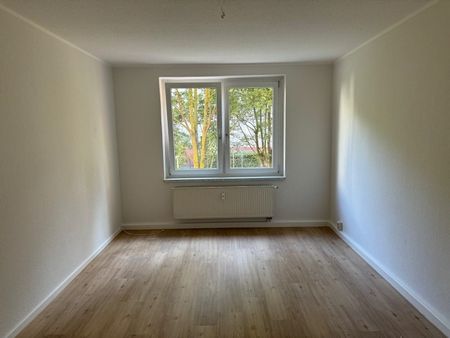 Am Jägerpark - Frisch renovierte 3-Zimmerwohnung ab sofort zu vermieten - Photo 2