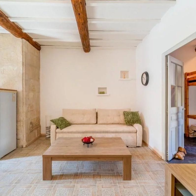 Location Appartement 1 pièce 45m² NIMES 30900 - Photo 1