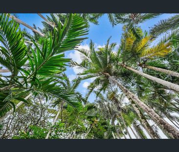 19 Palm Avenue, Mowbray, Qld 4877 - Photo 2