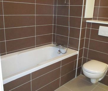 Location appartement 2 pièces, 50.83m², Joinville-le-Pont - Photo 1