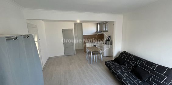 Location Appartement 1 pièce 26m² - Photo 3