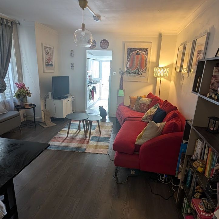 Room in a Shared Flat, Ground Floor, SW17 - Photo 1