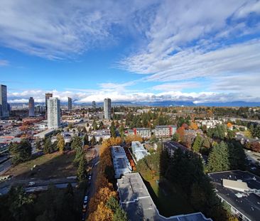 Park Avenue. One Bedroom Close to King George Skytrain Station - Photo 3