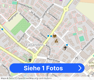 Lake Greifensee within reach - Foto 1