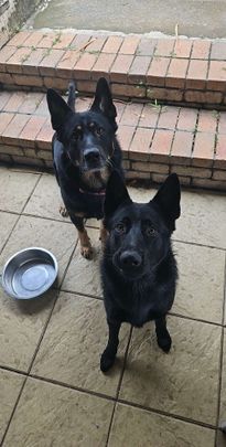 Boronia Heights - Photo 1