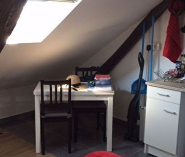 Appartement à louer 1 pièce • Tours - Photo 3